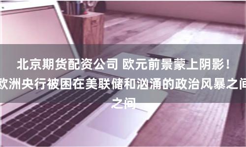 北京期货配资公司 欧元前景蒙上阴影！欧洲央行被困在美联储和汹涌的政治风暴之间
